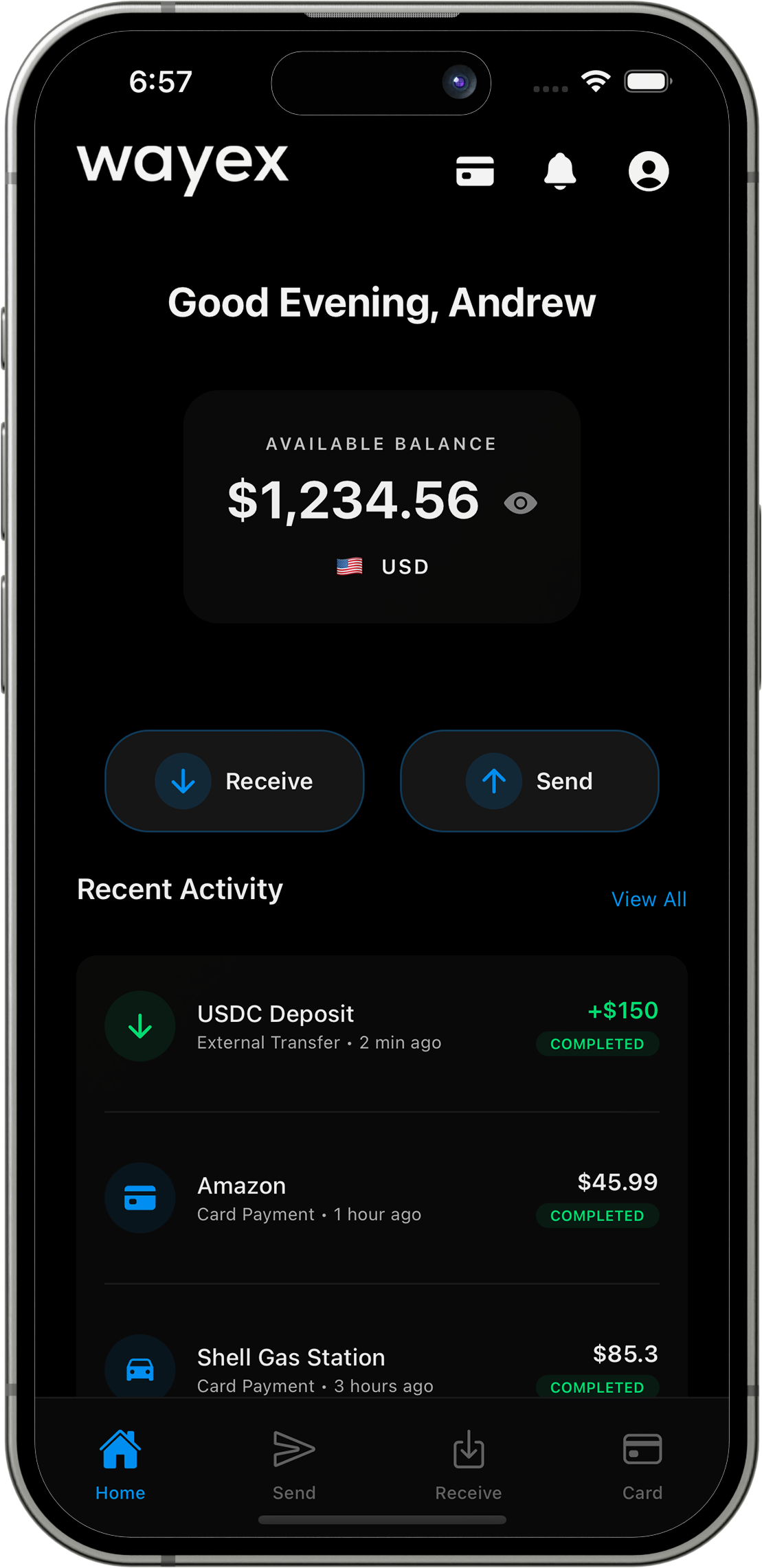Wayex App Home Screen showing stablecoin balance and transaction controls